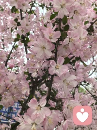 人生是一个过程，有些问题你已经发现了，但是从发现到面对再到解决，再到成长升维是一个过程，不可能一蹴而就，所以有时候就让自己活在不确定中，守住内心正确的信念，抛弃杂念，不否定不放弃，无力的时候就静待花开。