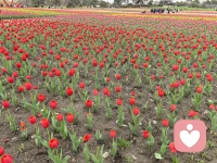 每个人都是一系列意图的集合，哪些意图来自内心真实的愿望，哪些意图来自环境的压力或暗示，去分辨，去拣选，守住内心的真实与纯净，拥抱轻松惬意人生。