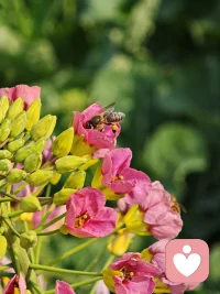 如果我们在一段好的关系里面经常被接住被涵容，在这种多的被接住的体验中就可以发展出自己接住自己的能力。配图