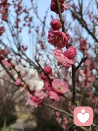 美好的雨天，静怡的心境，持续中配图