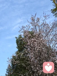 你已经很棒了，允许自己慢慢来，一切都会刚刚好。配图