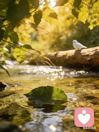 真正的倾听，是试图用对方的眼睛去看世界。配图