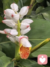 在我寻找自我、成为自己的路上，需要有人一直陪着你，给你支持、点拨与指引。每当在迷茫困顿、辗转纠结时，都能安心找人倾诉，慢慢找回初心，不再迷失。每当你有一点点进步与成长，我都会真诚地鼓励你、肯定你，助力你找到更好的自己。配图