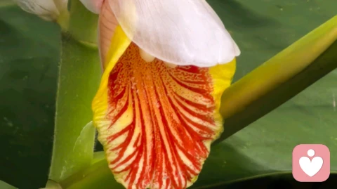 咨询师妈妈是如何处理与孩子间冲突的