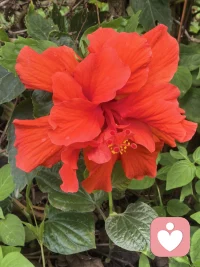 生命觉醒后的动作，放下过往发生的不愉快并与之告别，用心重建婆媳关系。

今天带着老太太出去郊游，看着她拿着手机满世界拍照，感受到她的开心和愉悦，也看到她从未有过的松弛感。我将用心，用爱去和她相处以后的日子，让一辈子过渡付出，过渡消耗的老人，能在我这里感受到一点舒心和舒坦。祝福和期待她能重新找回自己，余生为自己而活，学会取悦自己；不把自己的情绪开关，挂在自己的子女孙辈身上。余生真正的为自己活好每一天，感受生命的美好。配图