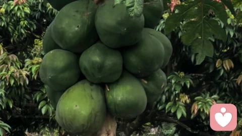 和活得通透的朋友聊天是什么样的感觉