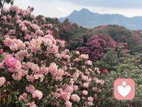 找回自己后，所见皆是美好，心中皆是欢喜
把那个丢失的自己找回来后，和自己的心在一起了，心境一变，小区还是那个小区，花还是那些花，水还是那汪水，树还是那些树，但是再见它们时，皆是内心欢喜，感恩它们的存在，让我感受到生命的美好。配图