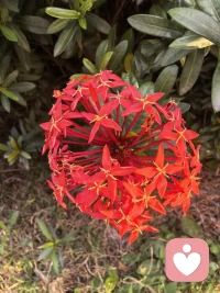 找回自己后，所见皆是美好，心中皆是欢喜
把那个丢失的自己找回来后，和自己的心在一起了，心境一变，小区还是那个小区，花还是那些花，水还是那汪水，树还是那些树，但是再见它们时，皆是内心欢喜，感恩它们的存在，让我感受到生命的美好。配图