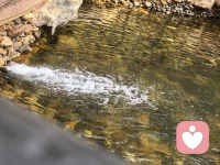 找回自己后，所见皆是美好，心中皆是欢喜
把那个丢失的自己找回来后，和自己的心在一起了，心境一变，小区还是那个小区，花还是那些花，水还是那汪水，树还是那些树，但是再见它们时，皆是内心欢喜，感恩它们的存在，让我感受到生命的美好。配图