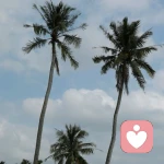 悦心姐姐的头像