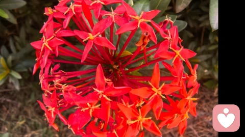 心理咨询是如何帮助人的