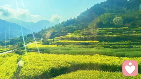 分享一首让人警醒的诗