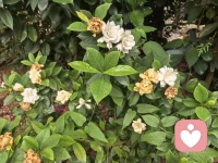 心理咨询的意义是可以提供你看待问题的视野更宽阔一点。
帮助你拥有更多的选择机会；
提升我们与“问题”共处的能力，不在纠结与问题之中。配图