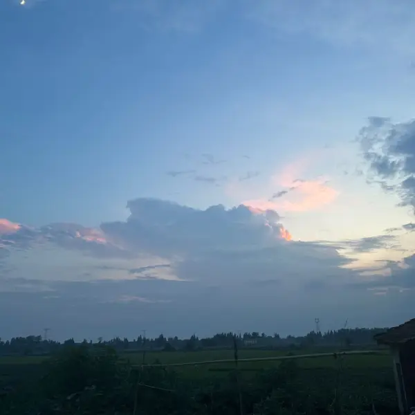 纯阳二十八