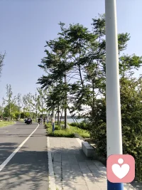 大自然是天然的氧吧也是最好的疗愈场，多出去走走吧！