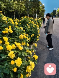 大自然是天然的氧吧也是最好的疗愈场，多出去走走吧！