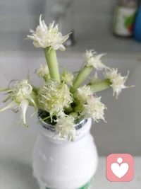 付出就有希望，喜欢的尽管去做，过程比结果更重要，这不惊喜不就来了！配图