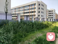 向日葵花开了———闲置的空地怪可惜，就随手种了些向日葵，也没多当回事儿照料，长得还挺好的，竟然开得这么灿烂，真的好满足好开心！
这就是没有期待反而会有惊喜和意外收获吧！