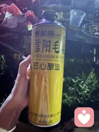 情绪低落的时候，允许我枯萎一会配图