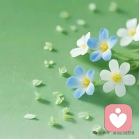 不管是生活上的困难，还是工作中的无奈，亦或者子女之间，夫妻之间的委屈，只要你有需要，我都愿意安静的听你说，陪着你配图