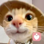 沐沐倾听的头像