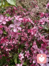 一个合格的倾听者，不盲目评判，不试图改变，认真倾听，告诉对方一切遵从自己的内心即可！配图