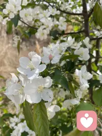 一个合格的倾听者，不盲目评判，不试图改变，认真倾听，告诉对方一切遵从自己的内心即可！配图