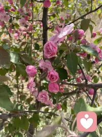 一个合格的倾听者，不盲目评判，不试图改变，认真倾听，告诉对方一切遵从自己的内心即可！配图