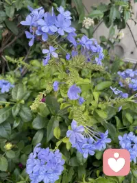 一个合格的倾听者，不盲目评判，不试图改变，认真倾听，告诉对方一切遵从自己的内心即可！配图