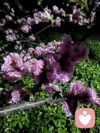 一个合格的倾听者，不盲目评判，不试图改变，认真倾听，告诉对方一切遵从自己的内心即可！配图