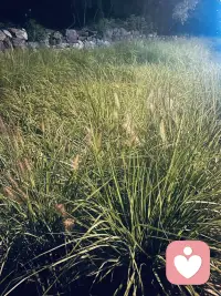 一个合格的倾听者，不盲目评判，不试图改变，认真倾听，告诉对方一切遵从自己的内心即可！配图