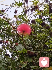 焦虑不是你的错，它只是情绪在提醒你：
你太累了，该停下来抱抱自己了。
我在这里，安安静静听你说。
 
 
不用逼自己立刻好起来。
允许自己难过、迷茫、不安。
情绪没有对错，被看见，就会慢慢变软。
 
 
很多时候，我们不是不够好，
只是太着急变好。
慢慢来，你已经很努力了。