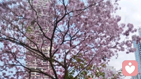 好的婚姻是两个人的滋养，不是一个人对另一个人的消耗