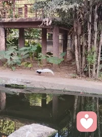 至每一个拼搏的牛马们
       最近总觉得，工作像一块怎么也搬不完的石头，压得人喘不过气。
明明每天都在努力，却还是常常焦虑、疲惫、怀疑自己。
生活好像只剩下忙碌和疲惫，连好好喘口气、笑一笑，都变成了奢侈。
 
       其实我也知道，成年人的世界没有容易二字。
只是偶尔，真的会突然觉得很累。
不是身体累，是心里闷得慌，找不到出口，也说不出口。
 
       愿我们都能在兵荒马乱的日子里，
悄悄给自己留一点温柔，
慢慢熬过去，慢慢好起来。
      你不是一个人在硬撑，愿意倾听你的心声配图