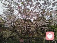 失眠，也是一种独有的心境。
白天被孩子的琐碎与疲惫填满，一刻不得闲。
只有深夜安静下来，才真正属于自己，和情绪慢慢和解。