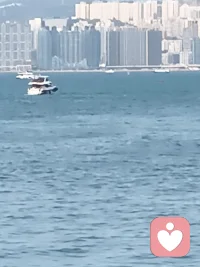 所友的光芒都会照耀自己