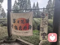 和朋友多出去走走会很愉悦配图