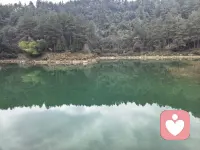 和朋友多出去走走会很愉悦配图