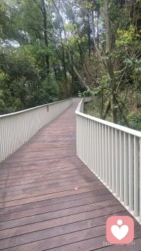 人生路上风景总是那样美丽，不要因为一些琐事而影响你的情绪，用心去感受大自然的美配图