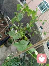 每天都是能量满满！活在当下配图