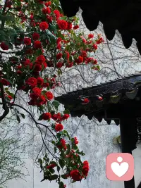 任何关系里，你一定要首先拥有自己的世界，这样你才可以和别人互相分享各自的世界，而不是去对方的世界找自己的位置。 ​配图