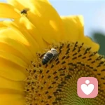 娜姐573（婚姻  情感  陪伴）的头像