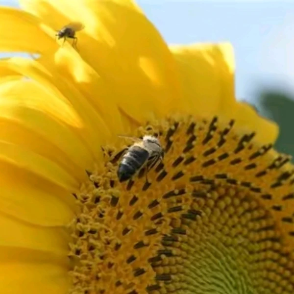 娜姐573（婚姻  情感  陪伴）