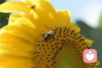 数字不会定义人生，但会照见你的底色

所谓命运，不过是数字排列的性格倾向
看见，即是改变

数字心理学不是算命，是一套基于性格
密码的自我导航系统

查收今日份的“性格说明书”生命数字里
藏着你的天赋与课题

我的数字运势已上线，  💝快来算算你的
专属能量！配图