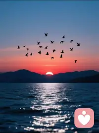 【1号人格 · 天生领导者】✨
—独立、自信、目标感超强的开创者 —

🔥 如果生命有底色，1号人的画笔永远由自己掌握。
讨厌被约束，拒绝被定义，骨子里刻着「我要走自己的路」。

✨ 优势觉醒时：
▫️ 气场全开，天生的团队引领者
▫️ 创造力爆棚，敢把不可能变成现实
▫️ 真诚坦荡，讨厌复杂的人际博弈

💡 成长修炼手册：
学会柔软是必修课，给世界一点走近你的温度
偶尔放慢脚步，等等身后的追随者

如果你也是1号人👇
记住：你的光芒自带坐标，但真正的强大始于懂得收放自如。配图