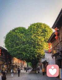 不要拿你和世界上的任何人去做比较，因为你是独一无二的。所以开心了就笑，悲伤了就可以流泪，我们可以做一个有血有肉真实的自己，只要你原意