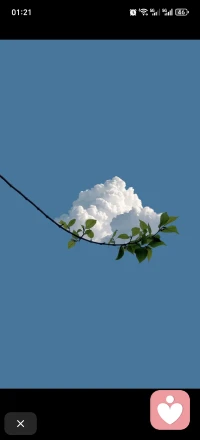 此时此刻不管是什么样的情况使你不安烦躁或者所有不舒服的感觉，请记住你才是你生命中的主宰，你可以做一切利于你行为的所有事情，相信自信的你是最耀眼的那一位😊