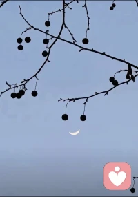 为人在世三大生存要点：
第一为爱，爱是责任，爱是付出和给与
第二为善，善是为人的底线，看一个人的能否相处不用看他有多高尚，只要看他的底线在哪里就知道您们在未来相处中会发生怎样的事情。
第三为道，道为规律，顺天而为，择天时而动，寻天机而起就是道，遵循道之动，无不成之事🍀