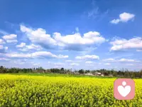 当你察觉到自己的状态不对的时候，一定要想方设法把自己救下来。人生的至暗时刻，大道理没有用，鸡汤没有用，甚至家长和朋友的爱也只能缓解焦虑，所以请你务必一而再再而三，千次万次，毫不犹豫救自己于水深火热之中！加油！