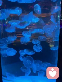 丢了东西，不要急，慢慢找，说不定就自己回来啦！